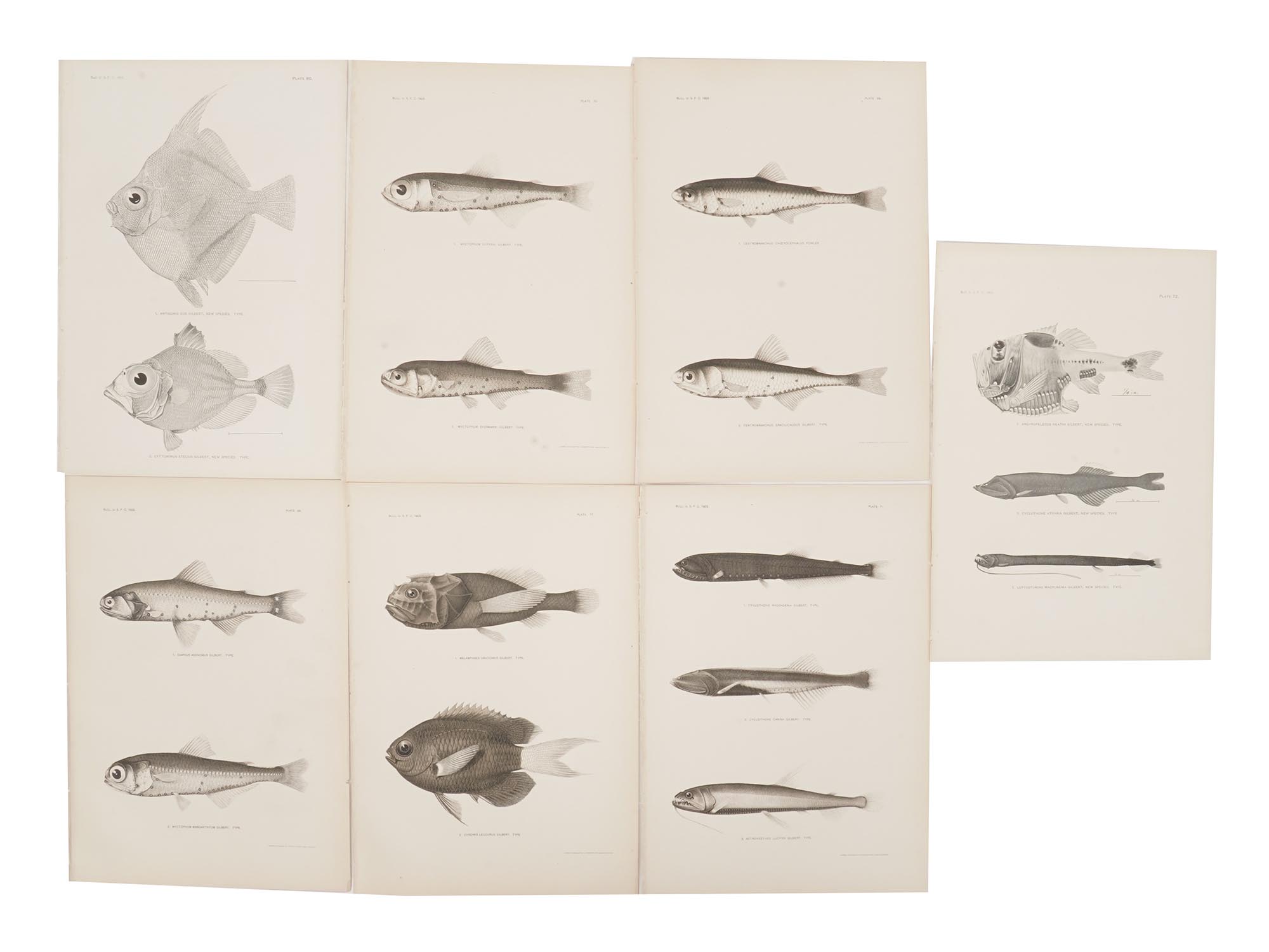 ANTIQUE 1903 FISH LITHOGRAPH PRINT COLLECTION PIC-0